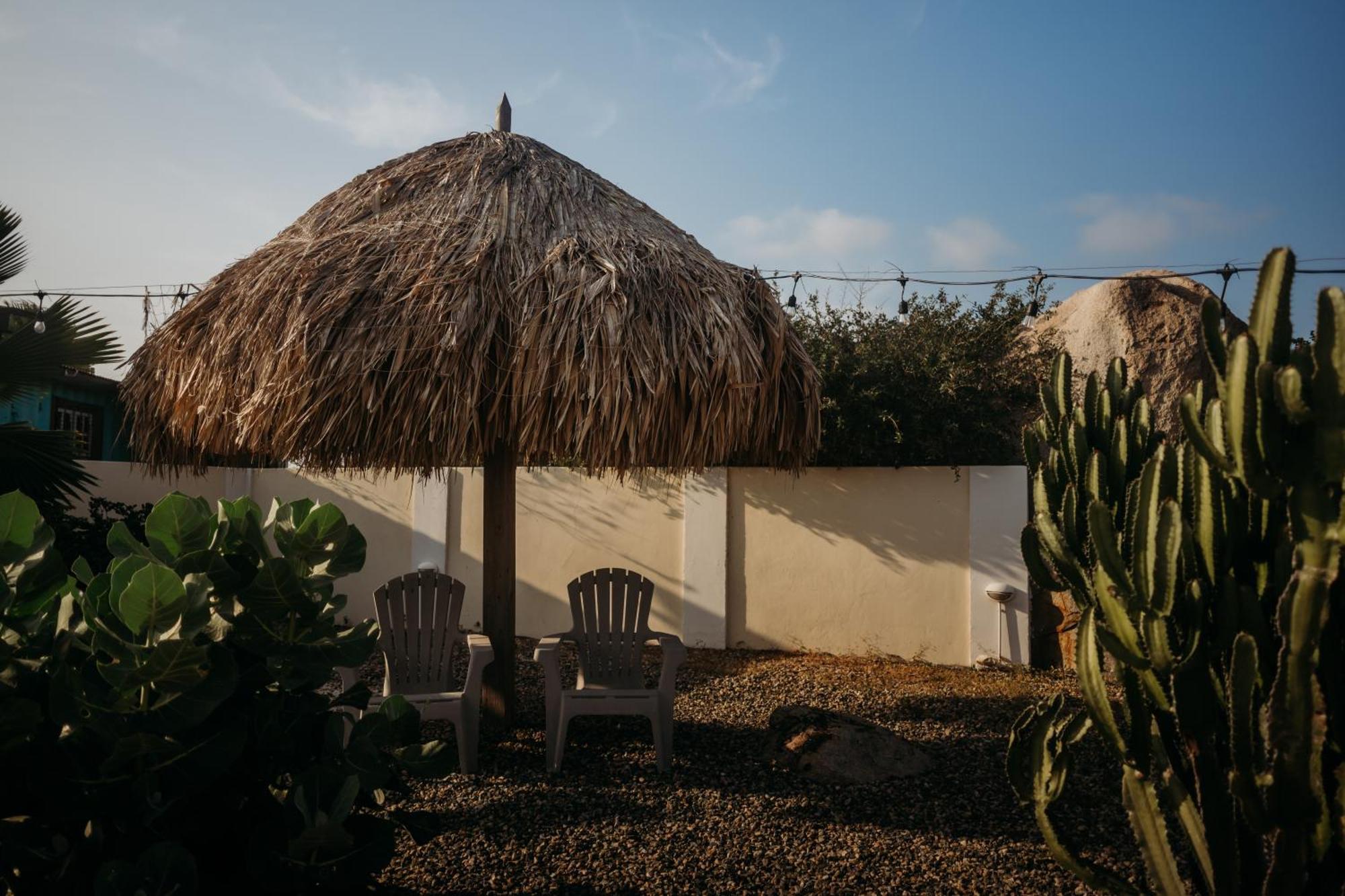 Pura Vida Aruba Appartement Palma Noord Exterior foto